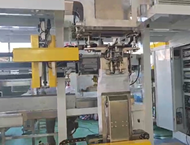 Máquina de embalaje de sal VFFS de alta velocidad para bolsas de 50 g a 2 kg