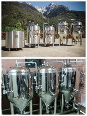 Depósito de fermentación cónico de acero inoxidable 5000L del GMP